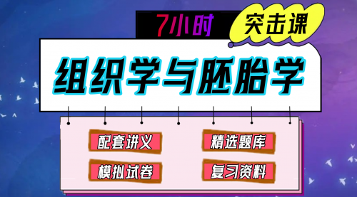 《组织胚胎学》期末冲刺-7小时突击课