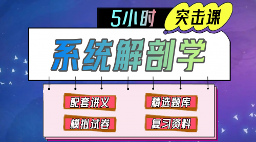 《系统解剖学》期末冲刺-5小时速成课